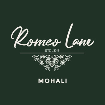 Romeo Lane Phase 3B2 Chandigarh