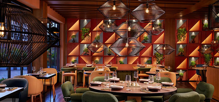 new-restaurants-in-chandigarh