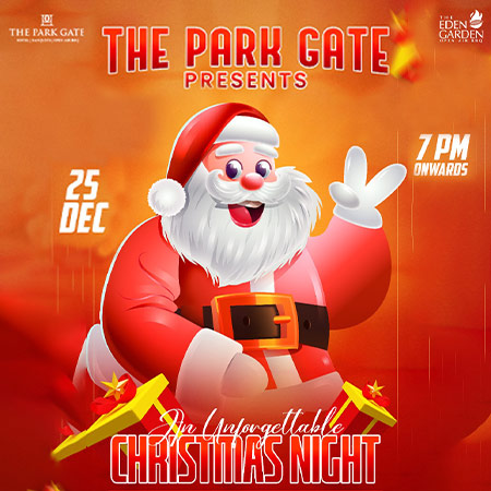 An Unforgettable Christmas Night at The Park Gate