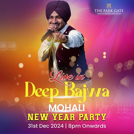 Celebrate New Year Eve at The Park Gate Mohali