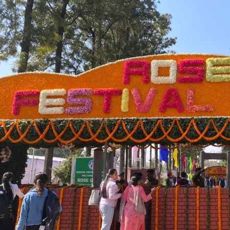 rose festival chandigarh