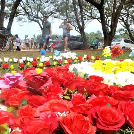 rose festival chandigarh